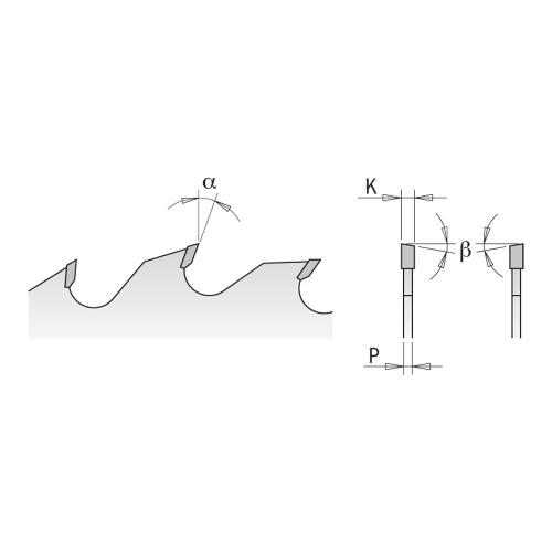 280.020.10V - CMT - MULTI-RIP WITH RAKERS (ITK) 250X2.7X70 Z20+4 ATB